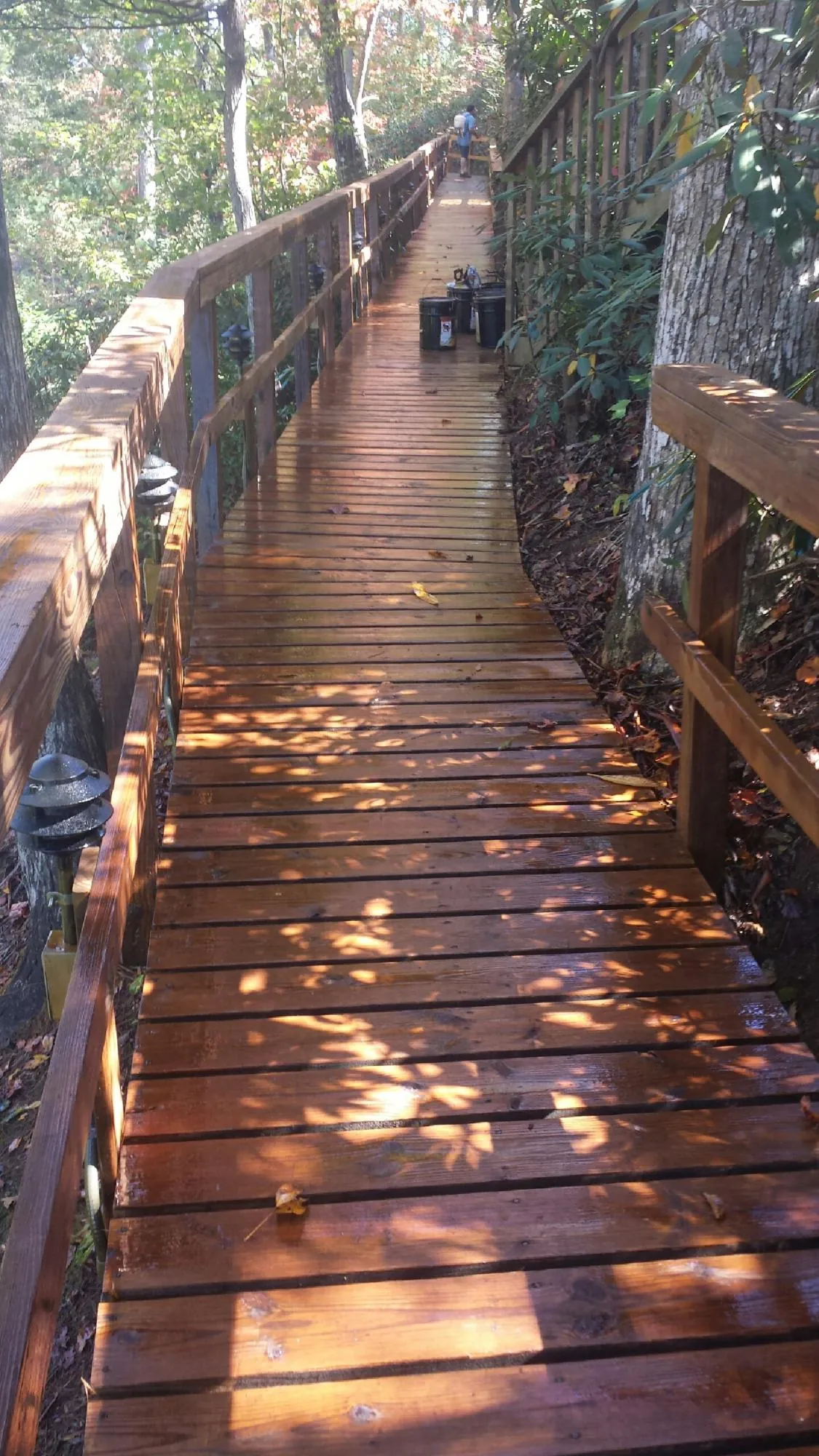 Freshly stained wood walkway winding through the woods in Dallas City